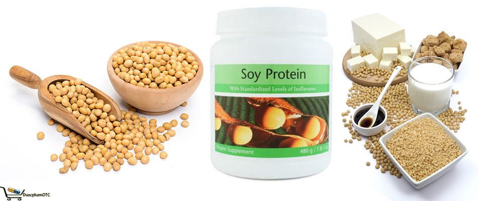 Soy Protein a