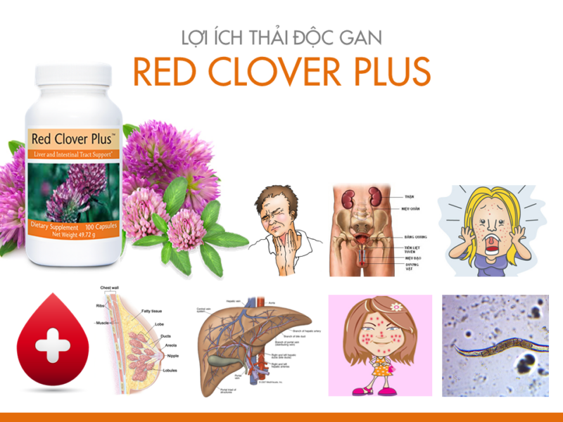 thai doc gan Red Clover Plus Unicity8